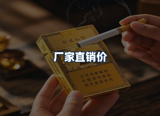 专业团队办公环境